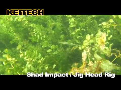 Soft Plastics Keitech Shad Impact - Image 2