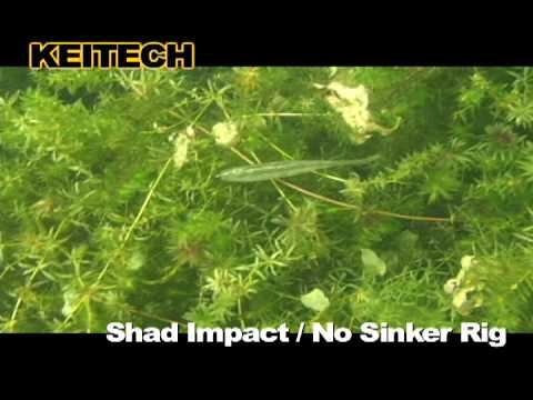 Soft Plastics Keitech Shad Impact - Image 3