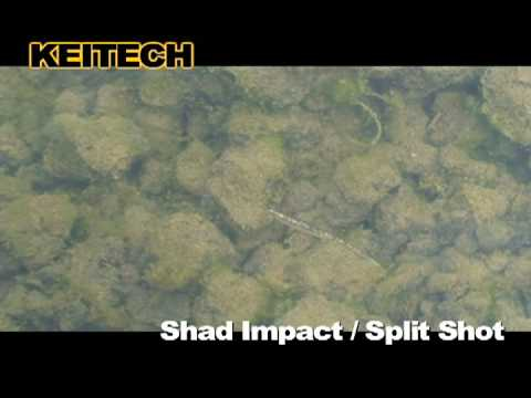 Soft Plastics Keitech Shad Impact - Image 4