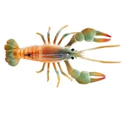 Soft Plastics Chasebaits Mudbug