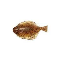Soft Plastics Hogy 5 Inch Flounder (3 Pack)
