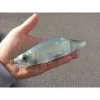 Swimbaits Gan Craft Jointed Claw Magnum 230 Swimbait