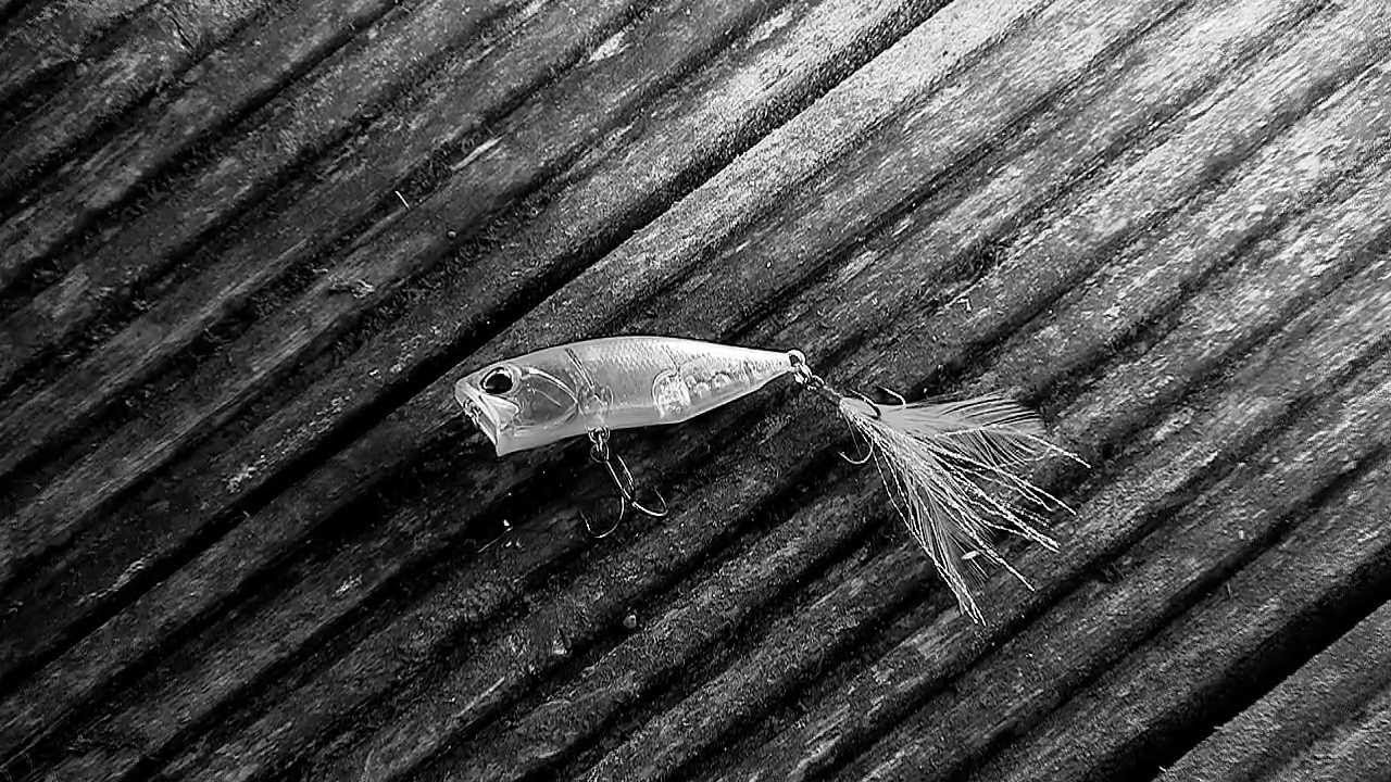 Hard Baits Duo Realis Popper 64 - Image 3