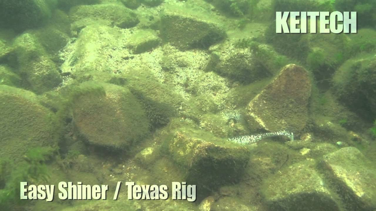 Keitech Easy Shiner Swimbaits - Image 4