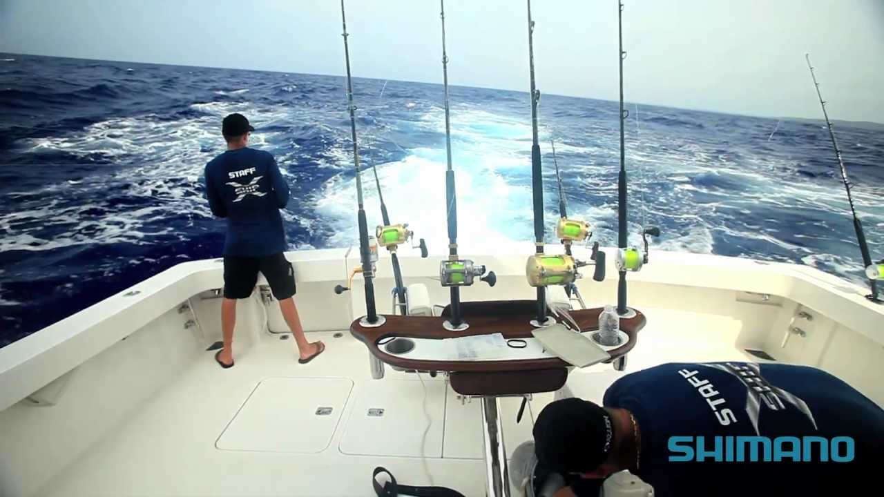 Conventional Reels Shimano Talica 20 BFC Lever Drag Reel - Image 2